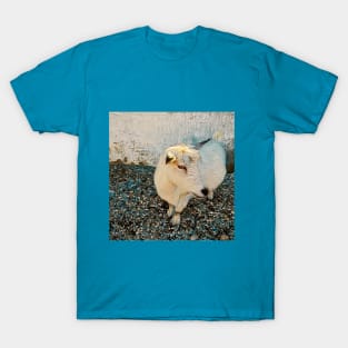 Goat No.2B T-Shirt